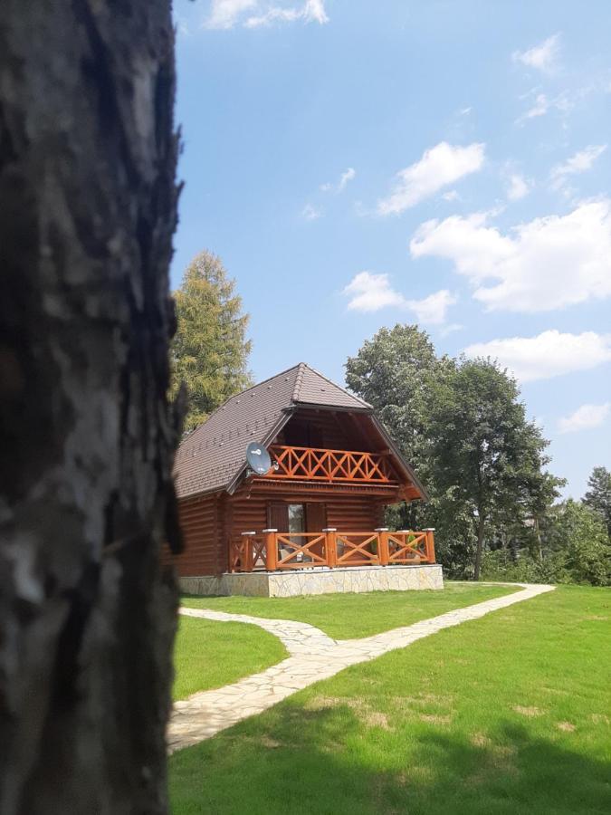 Villa Brvnare Park Borova Zlatibor Exterior foto