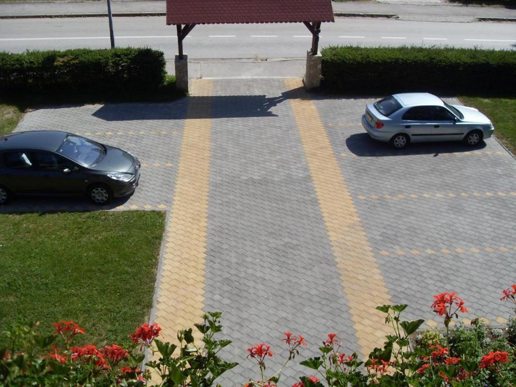 Villa Brvnare Park Borova Zlatibor Exterior foto