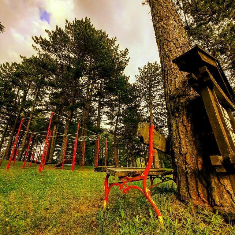 Villa Brvnare Park Borova Zlatibor Exterior foto