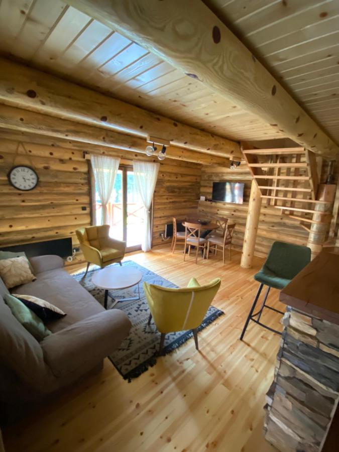 Villa Brvnare Park Borova Zlatibor Exterior foto